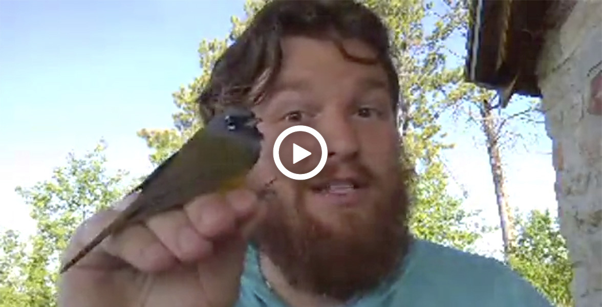 Click to watch Community Naturalist Zach Hutchinson band birds.