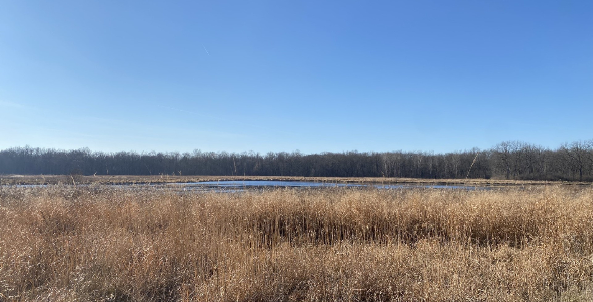 The Montezuma Audubon Center trails on a sunny day in early spring.