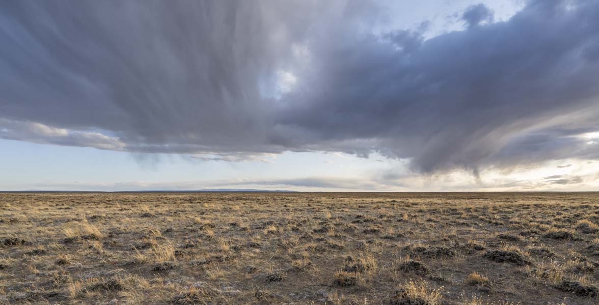 A sagebrush steppe landscape.