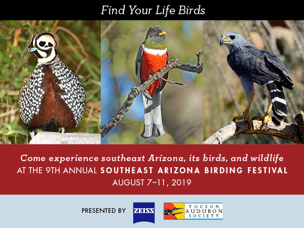 Three colorful birds sit around looking pretty. Text reads: "Find your life birds. Come experience southeast Arizona, its birds, and wildlife at the 9th annual Southeast Arizona Birding Festival, August 7-11 2019"