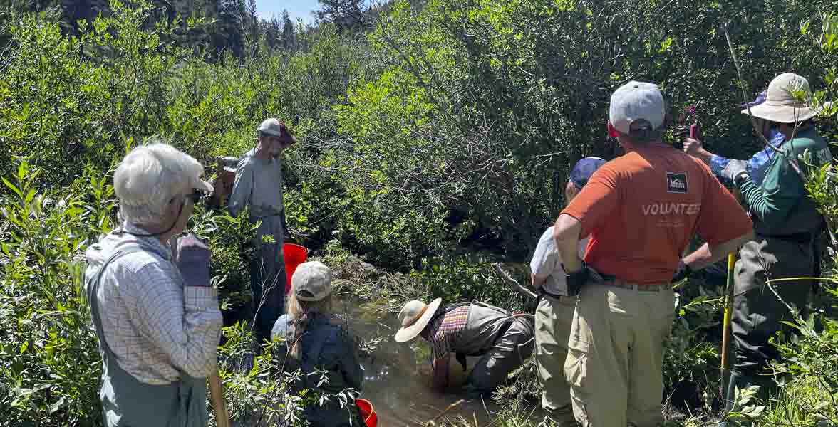 People gather around a person standing in a wetland.