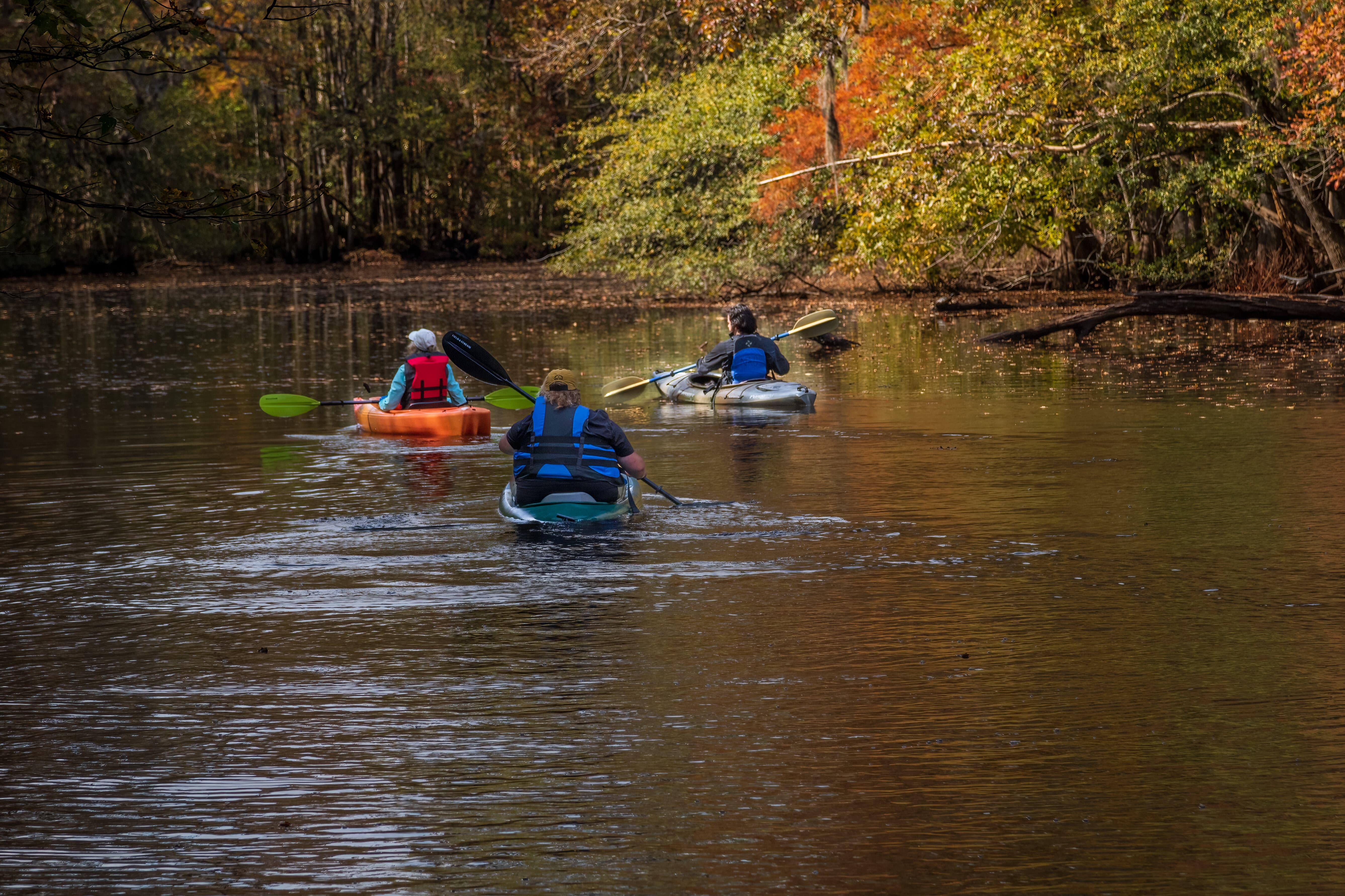 Three adults kayaking on dark slow-moving water. 