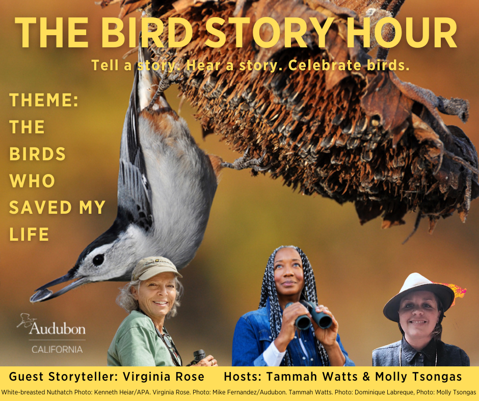 Bird Story Hour