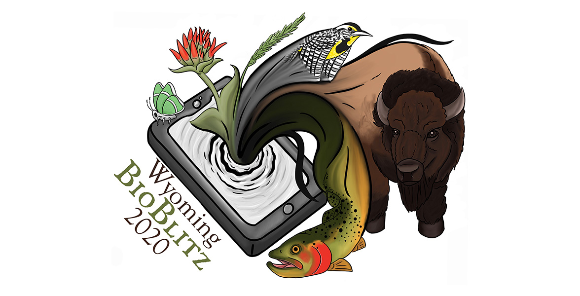 Wyoming BioBlitz 2020 logo.