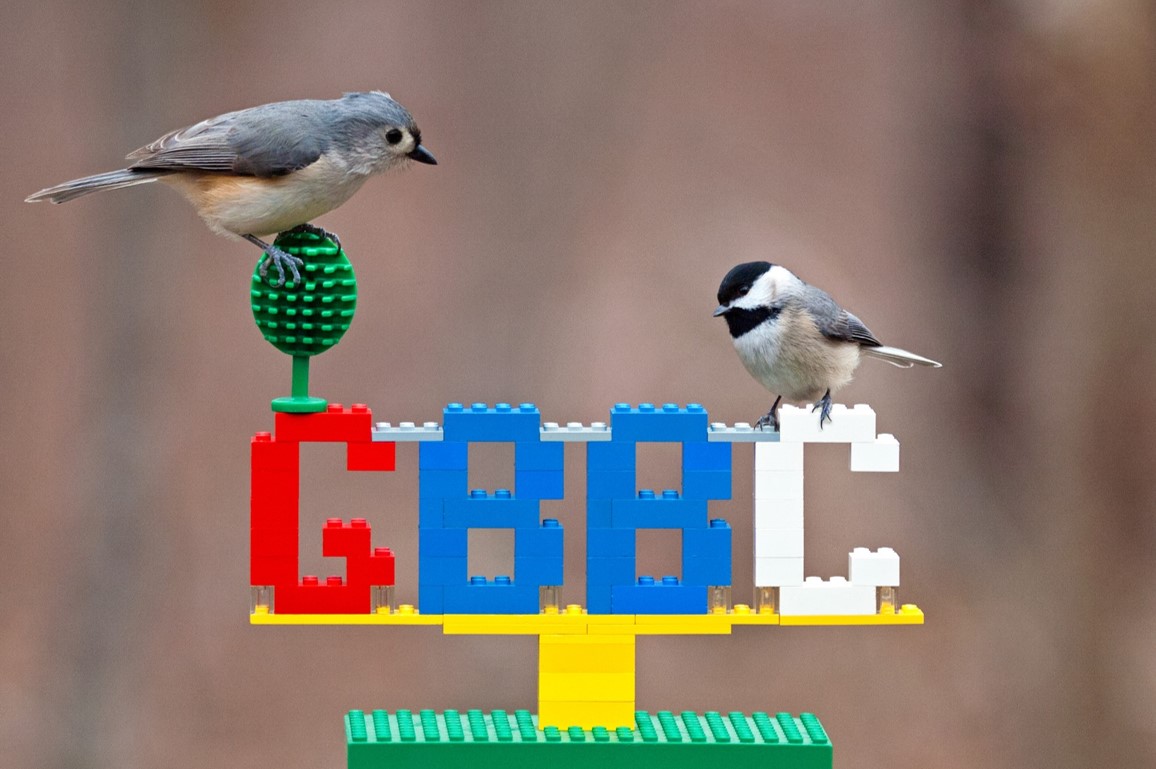 A Tufted Titmouse and Carolina Chickadee perch on a Lego model designed to say "GBBC."