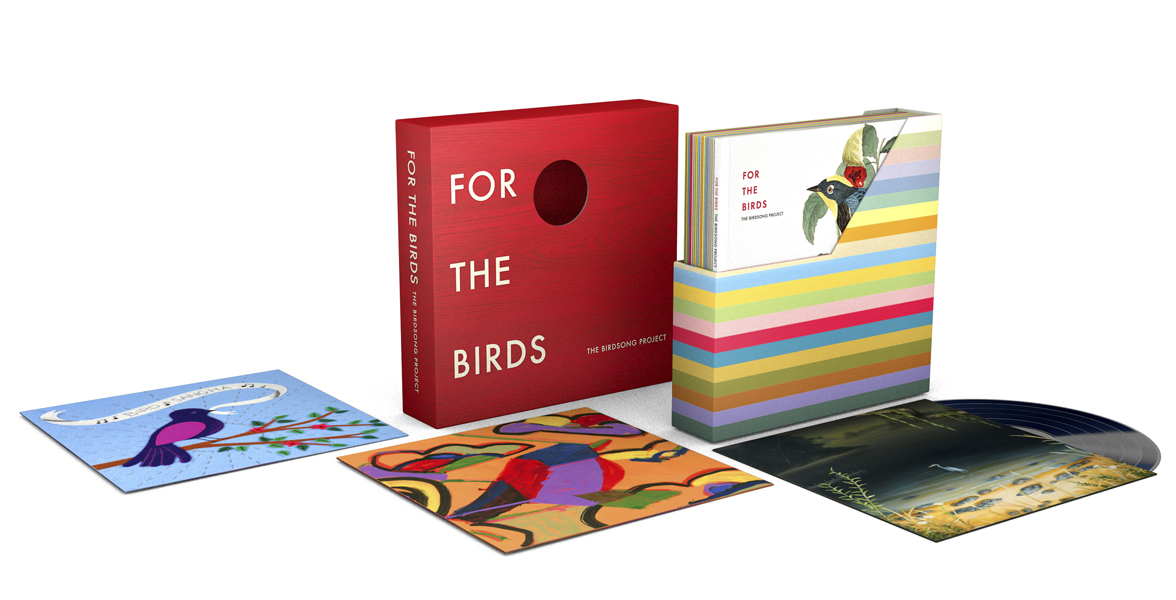 The Birdsong Project Box Set.