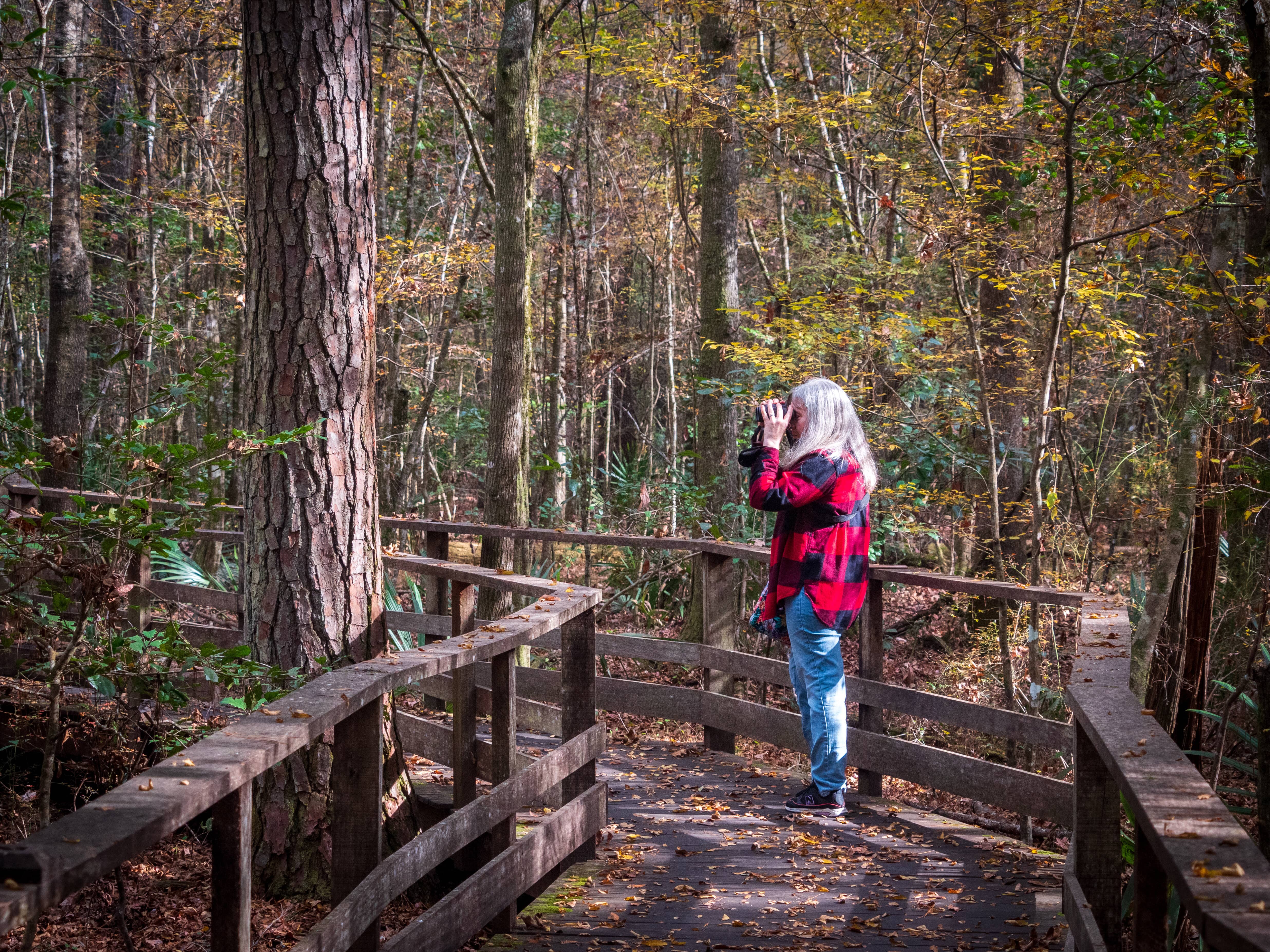 A woman with a red flannel shirt and blue jeans is looking through binoculars on a wooden boardwalk surrounded by trees. 