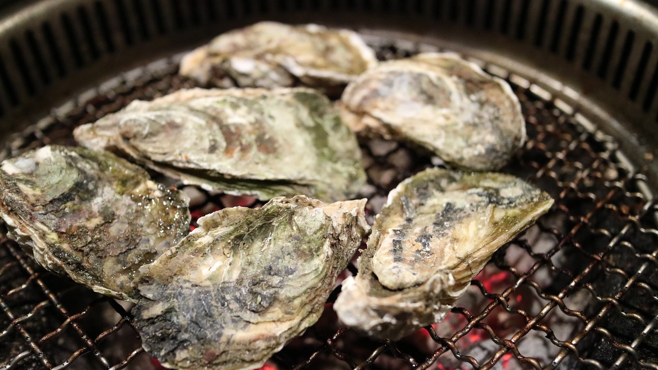 Oyster shells on a grill.