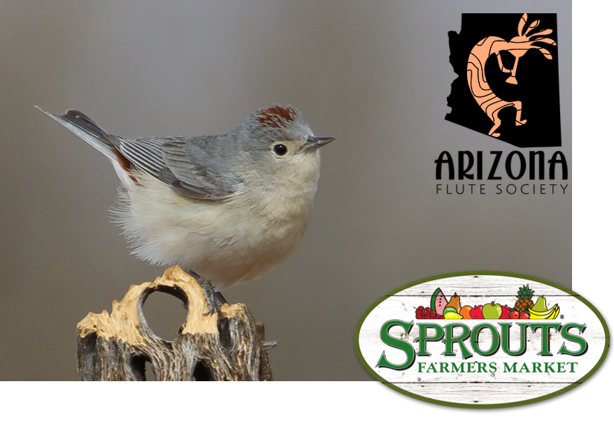 This month's Birds n' Beer is sponsored by Sprouts. Bird: Lucy's Warbler. Photo: Jeremy Hayes