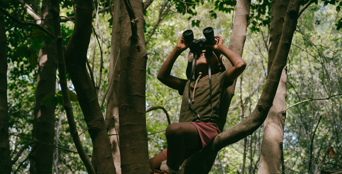 Birding for all. Photo: Canva