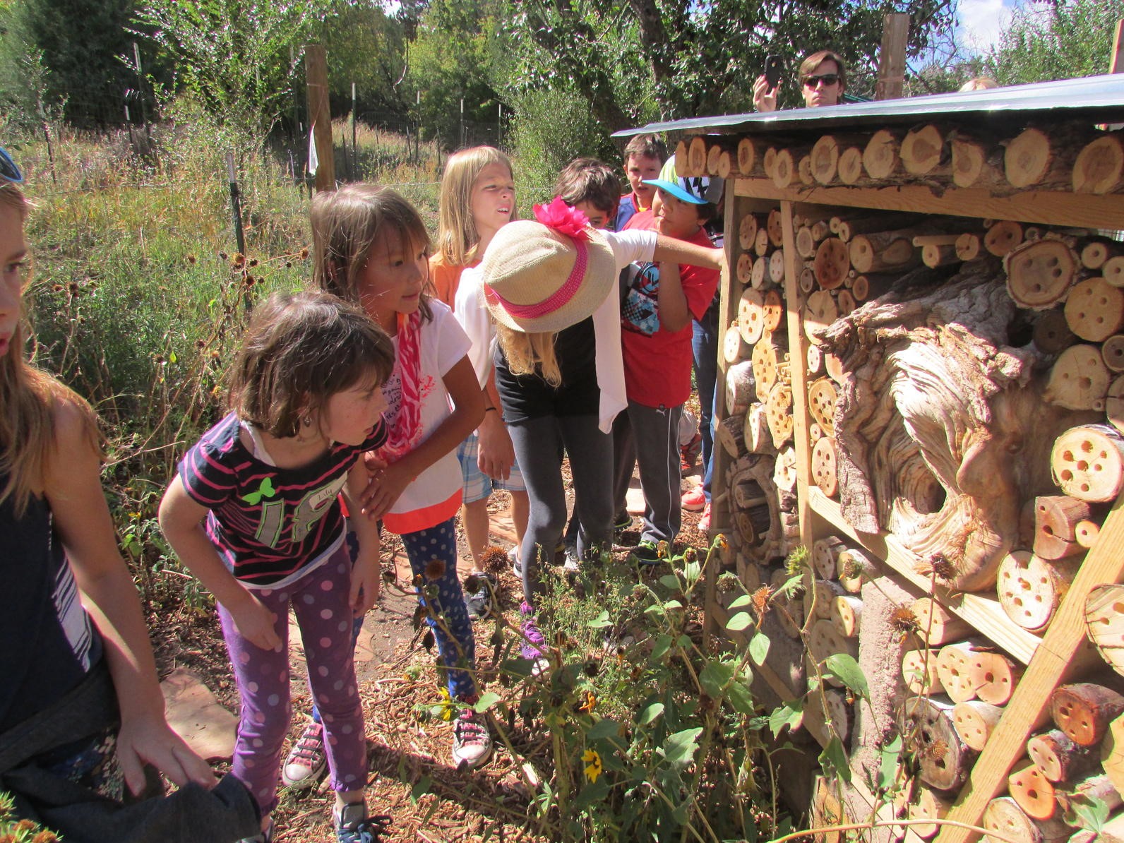 students and bee hotel
