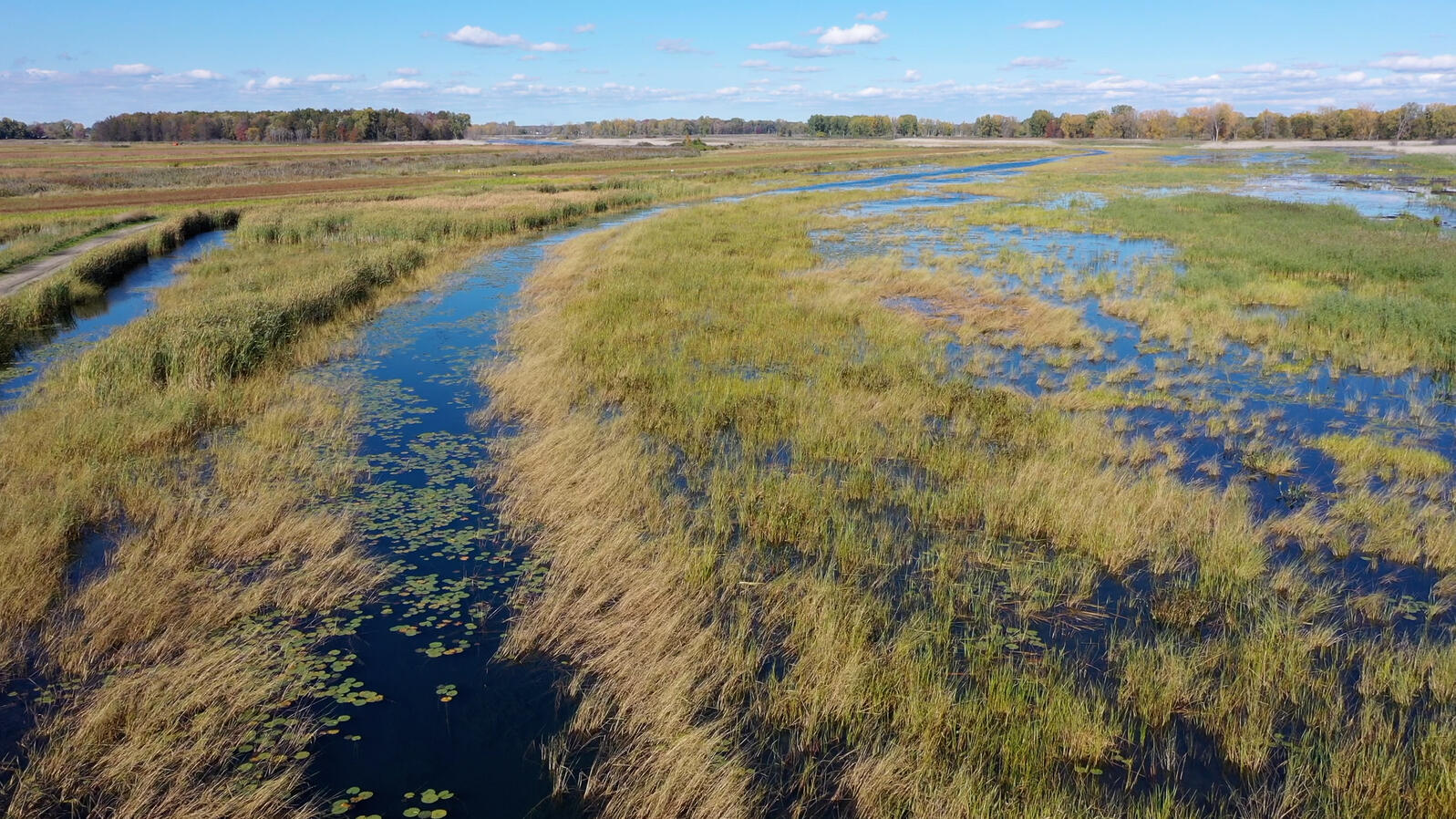 St. Clair Flats State Wildlife Area. Photo: Ducks Unlimited.