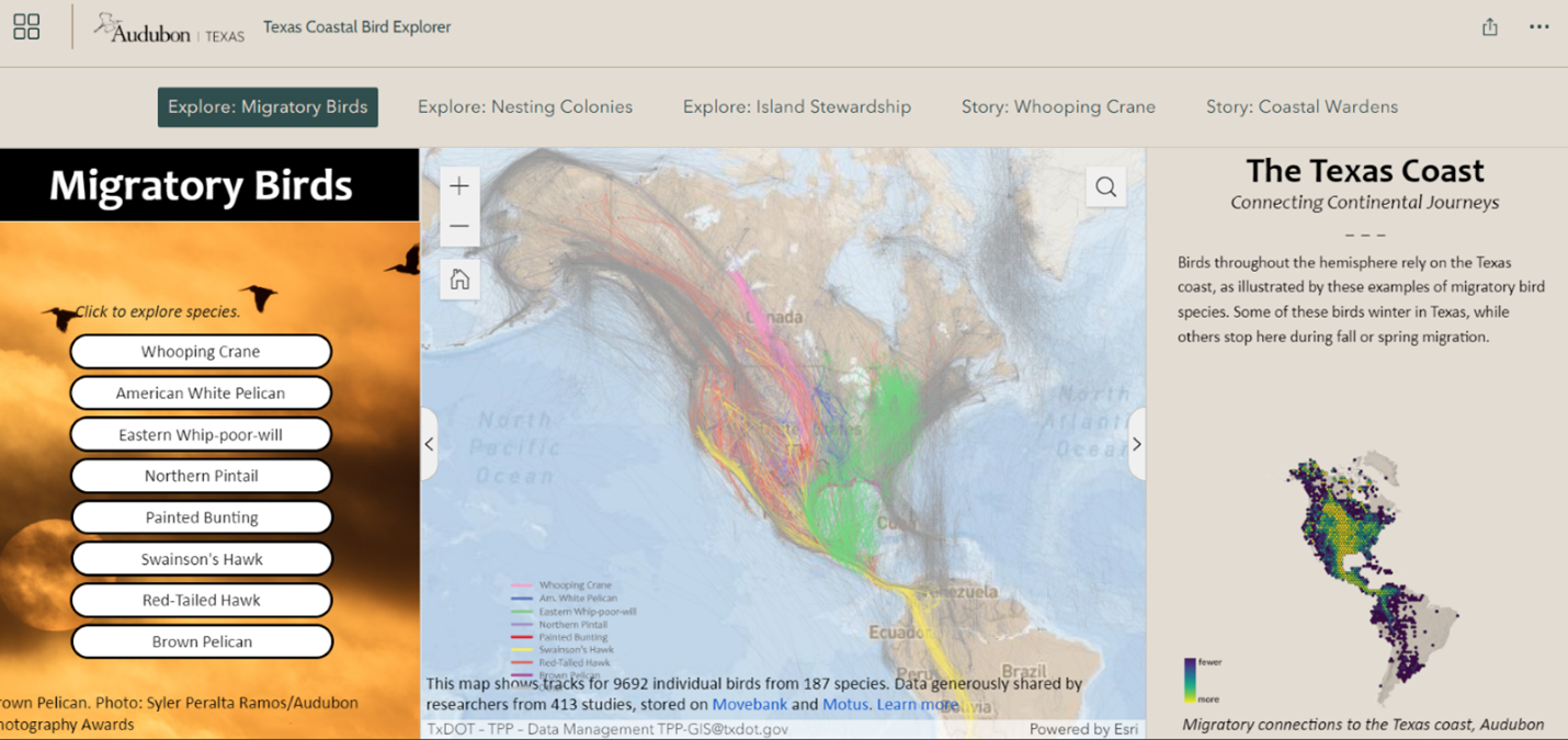 Texas Coastal Bird Explorer