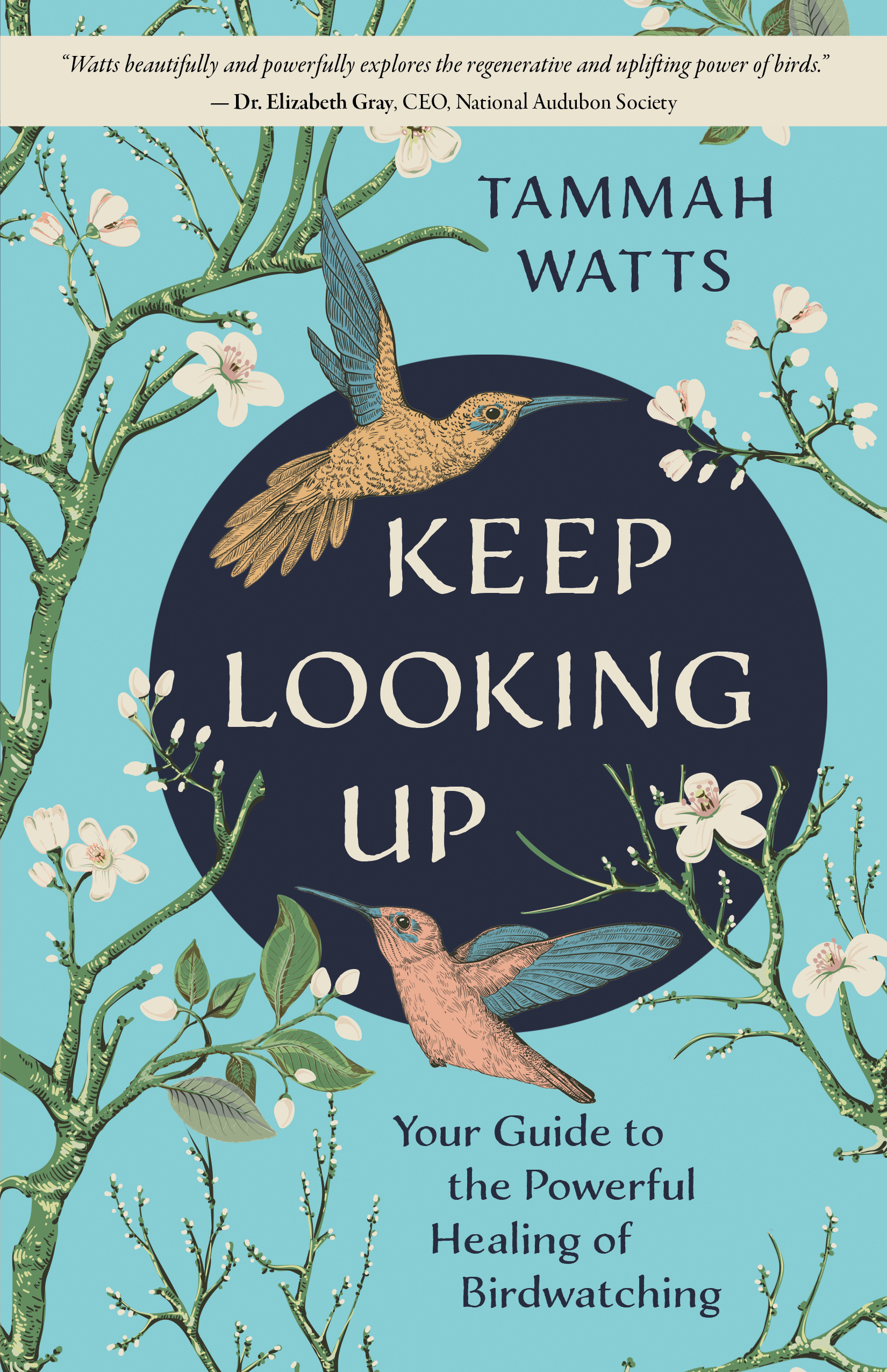 Keep Looking Up Book Cover