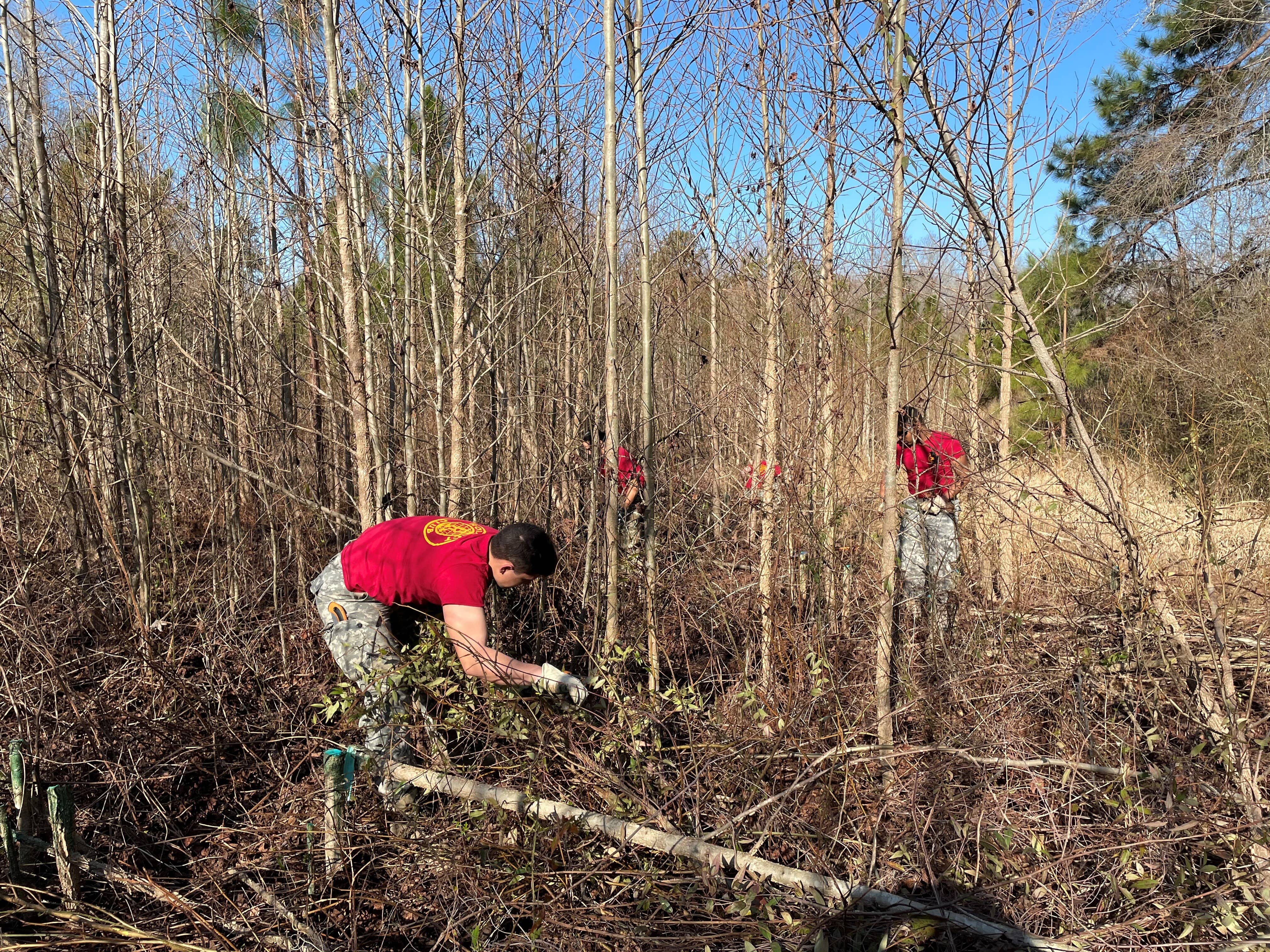 Students work in a Longleaf Pine stand after a prescribed burn. 
