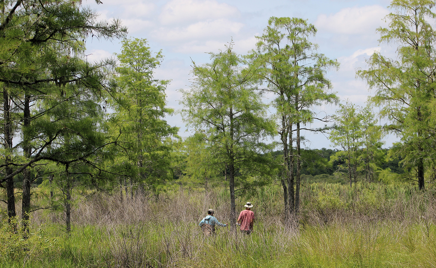 Two people walking through a prairie with trees nearby