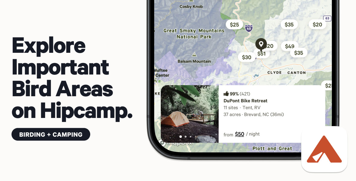 Text to the left reads "Explore Important Bird Areas on Hipcamp." To the right of the text is a preview of the IBA layer in the Hipcamp app.