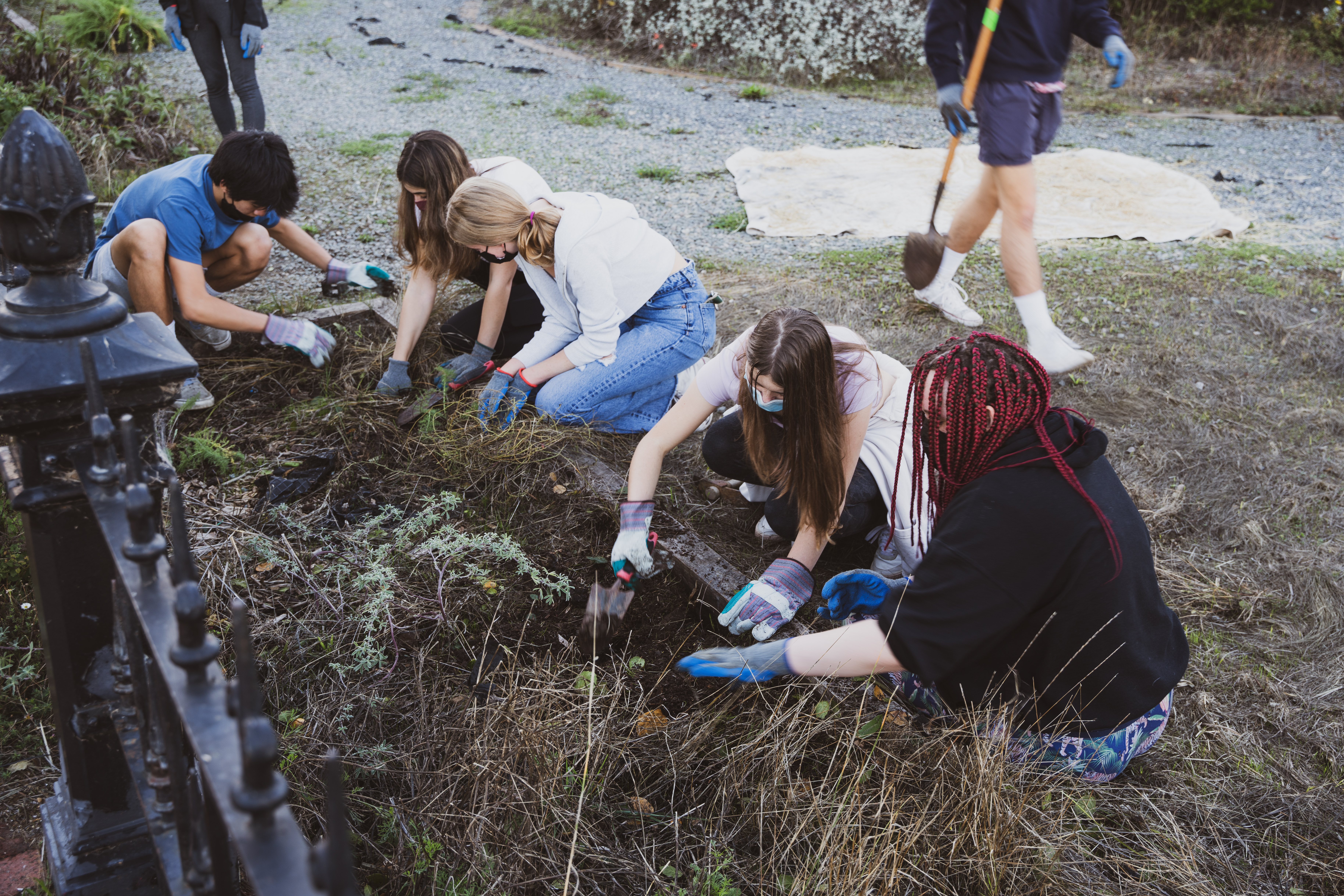 Youth Leaders planting young seedlings in the ground at the Center.