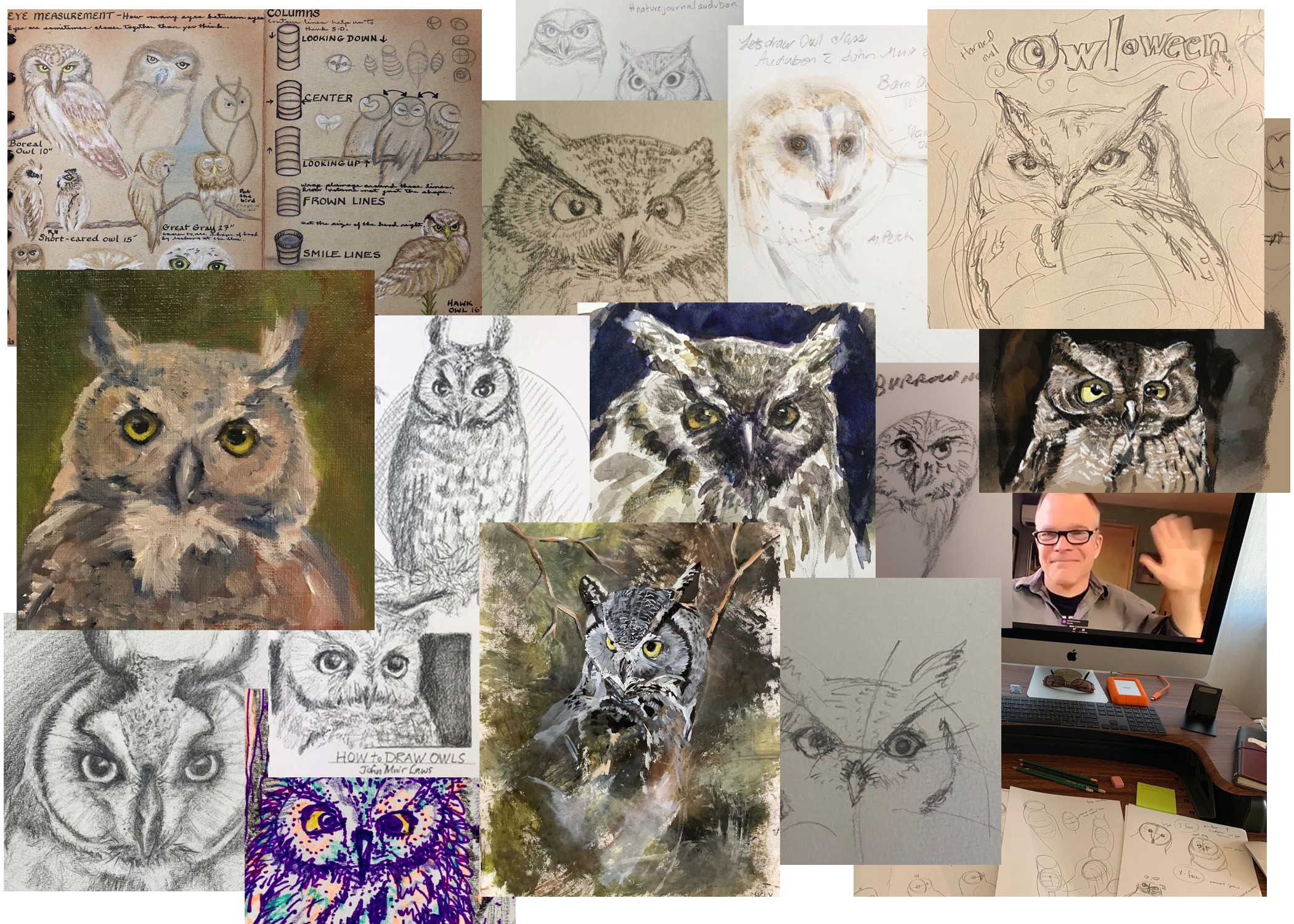 Owl Drawing Collage