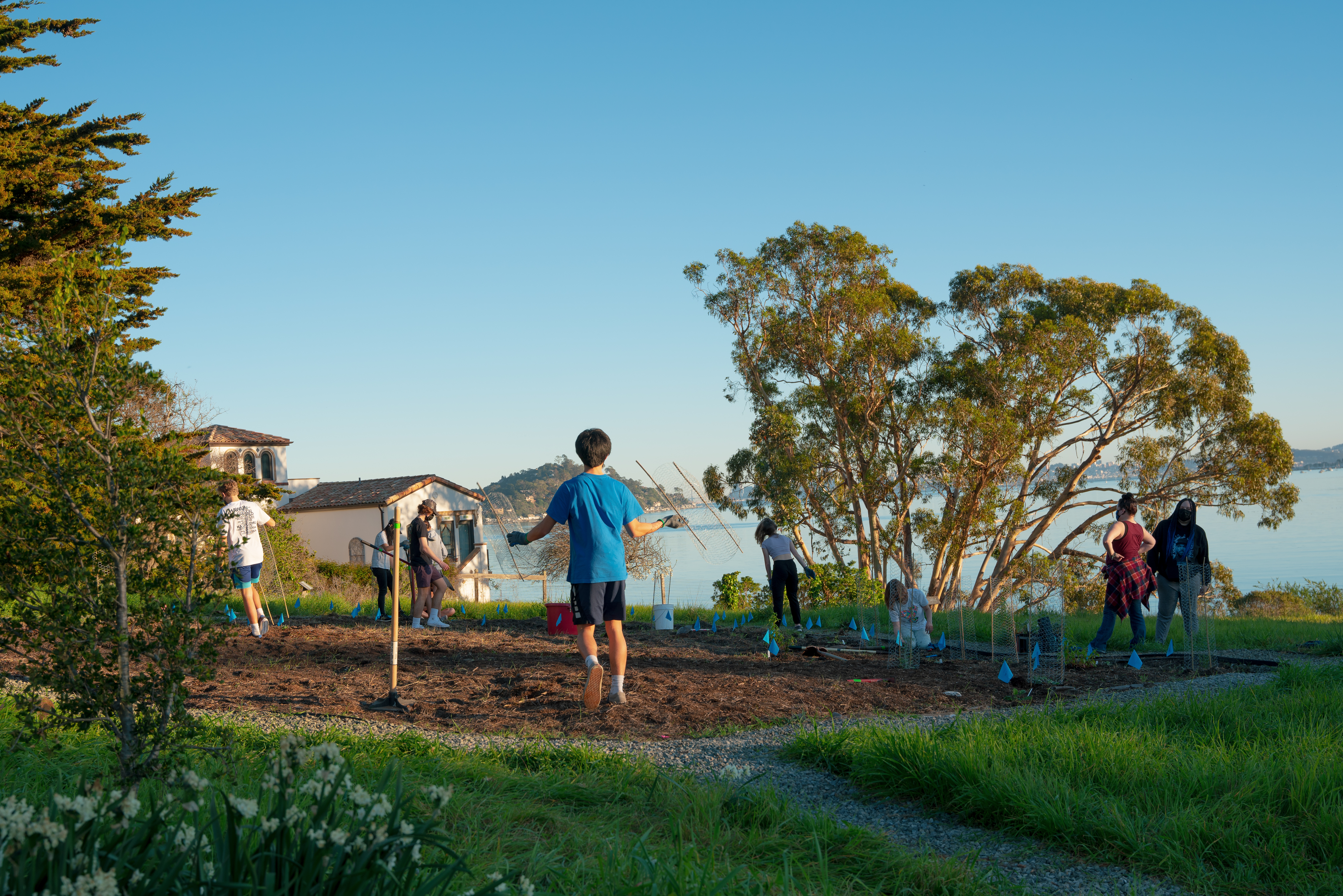 A wide shot of volunteers working in a demonstration garden. 