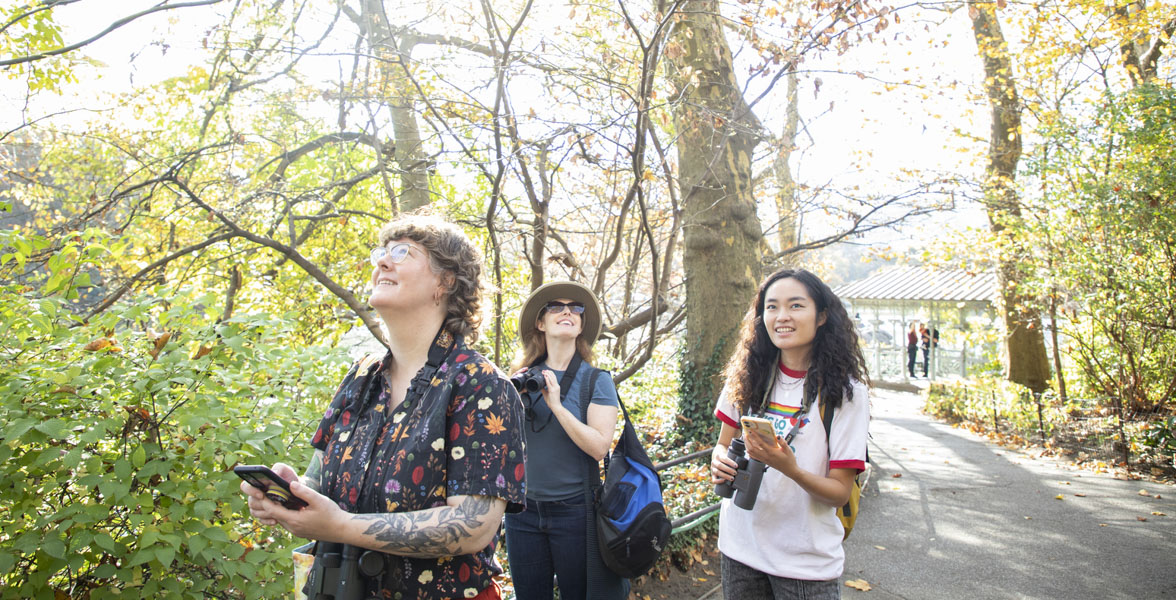  Three adults birding together in a park.