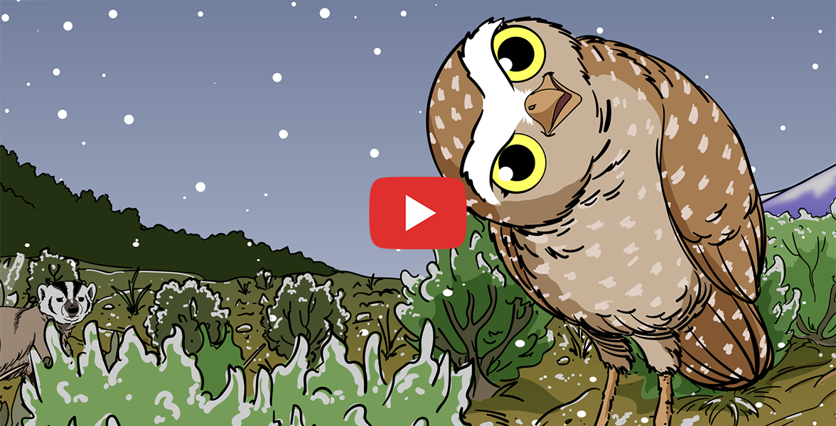 Illustration of a burrowing owl standing in sagebrush steppe as it snows. A play button is on the image.