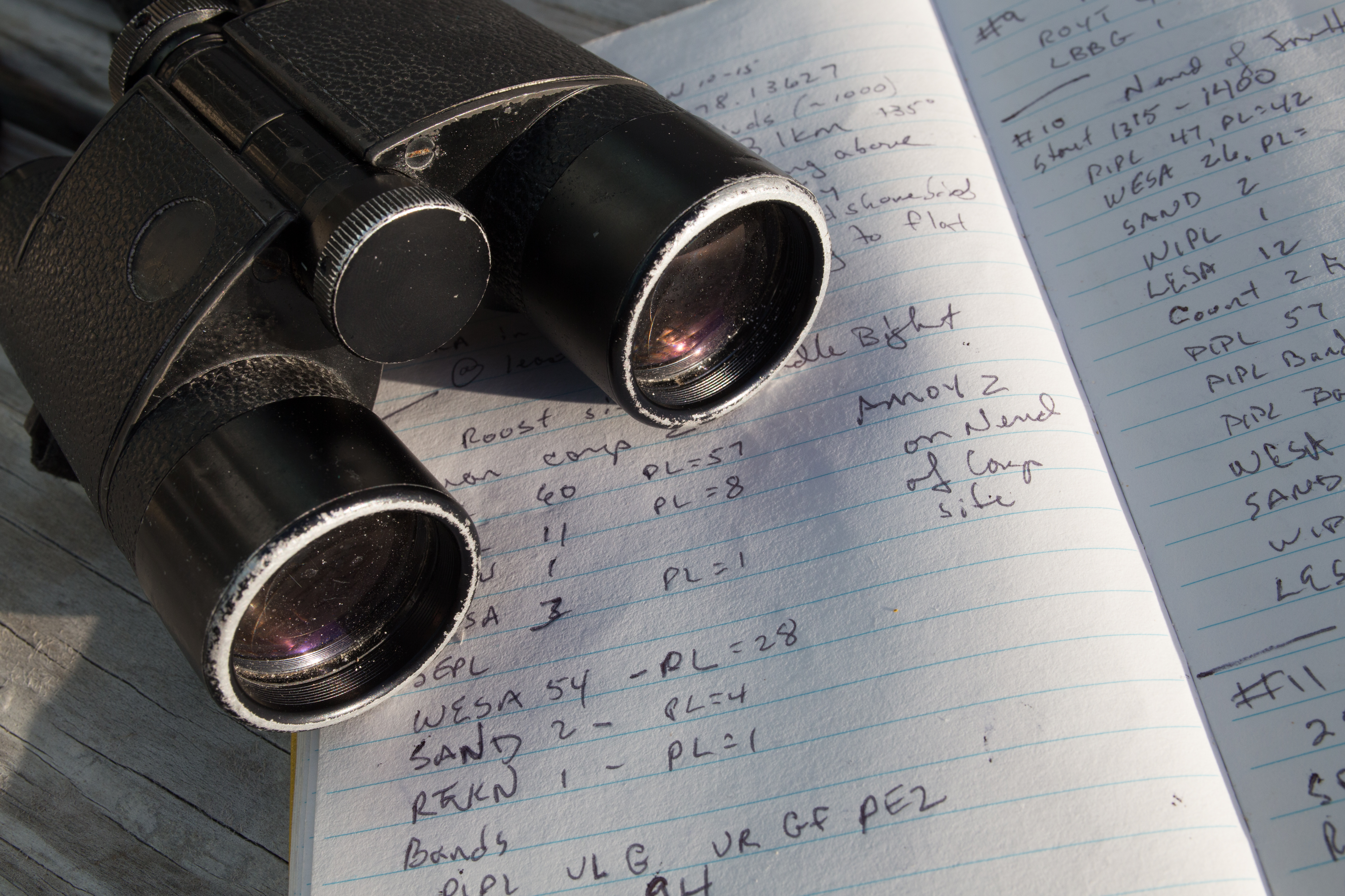 Binoculars, notebook and GPS. 