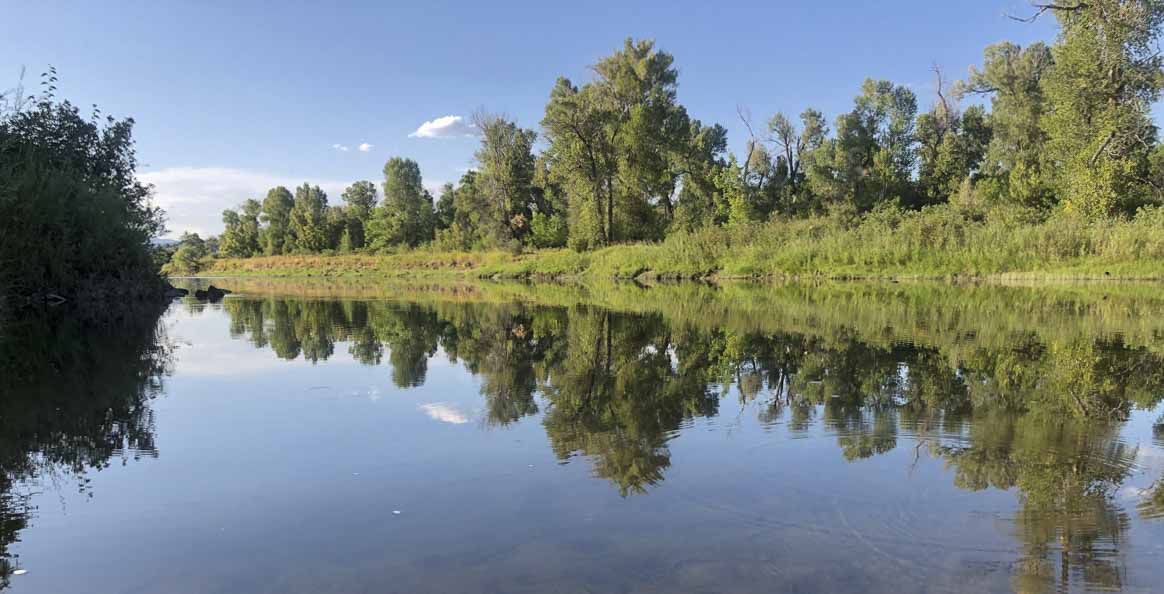 Trees reflecting in a calm river.