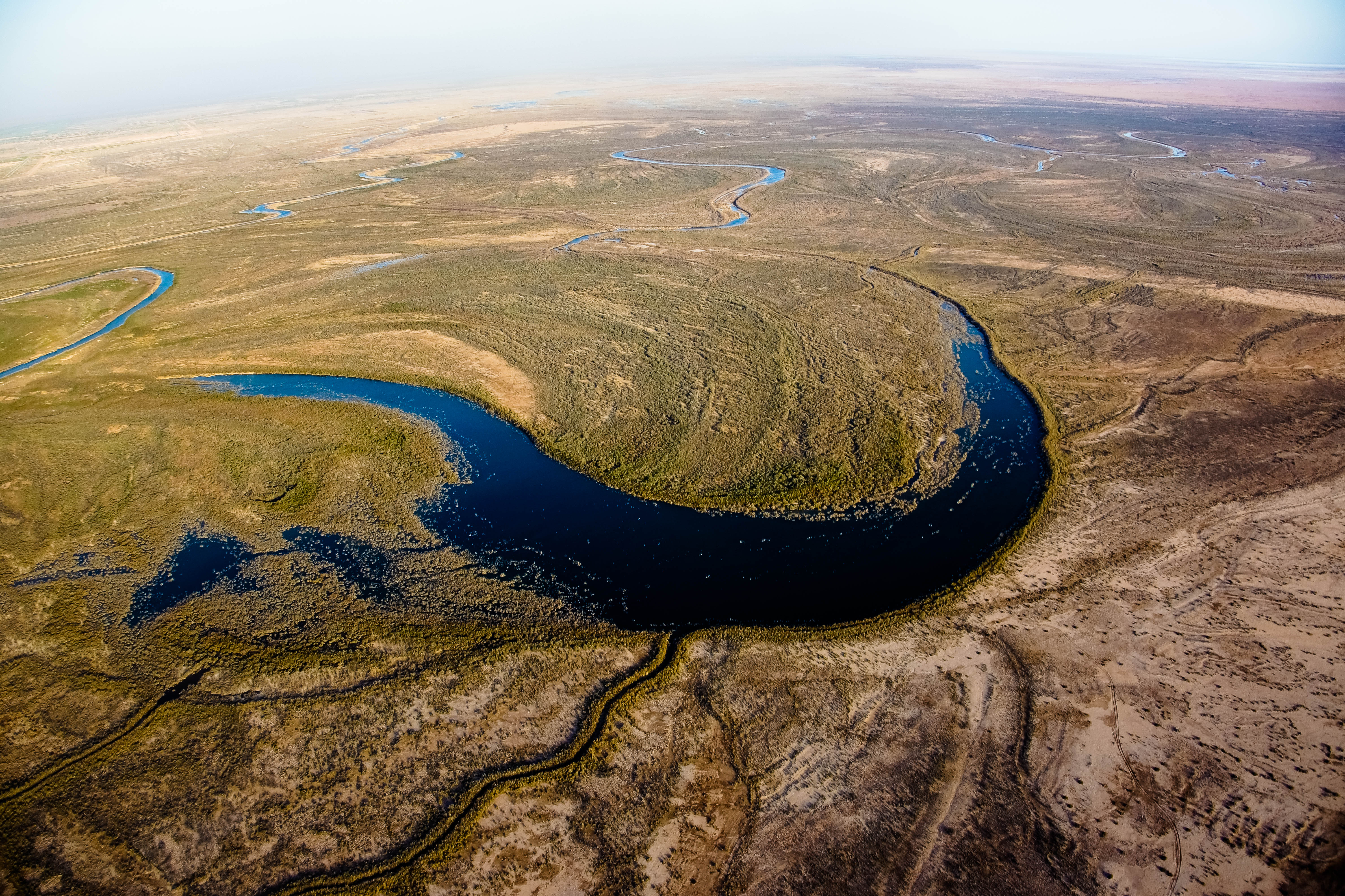 Colorado River Delta