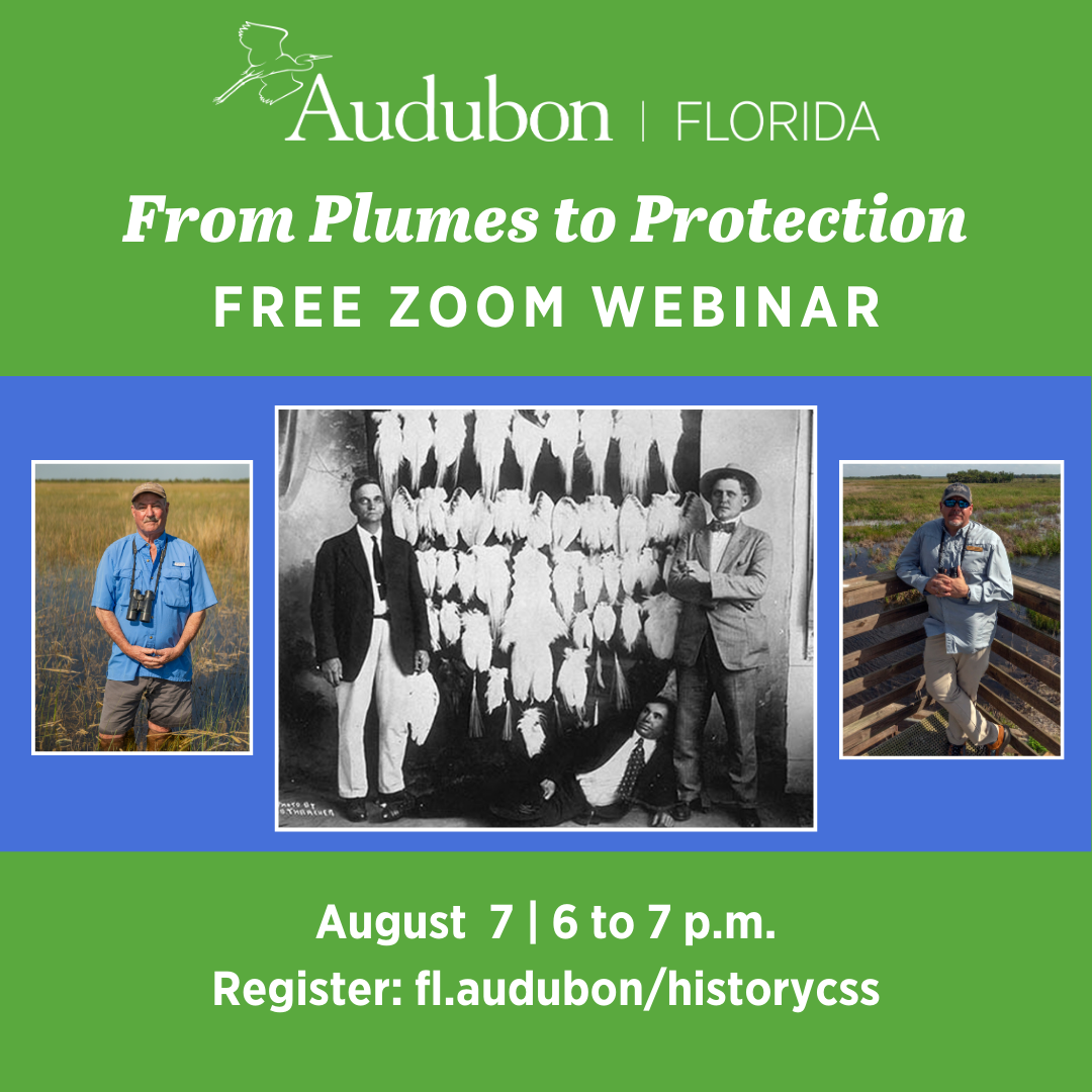 Promotional graphic includes color photos of two men standing in wetlands and a black and white photo of three men in front of dead birds on a wall.