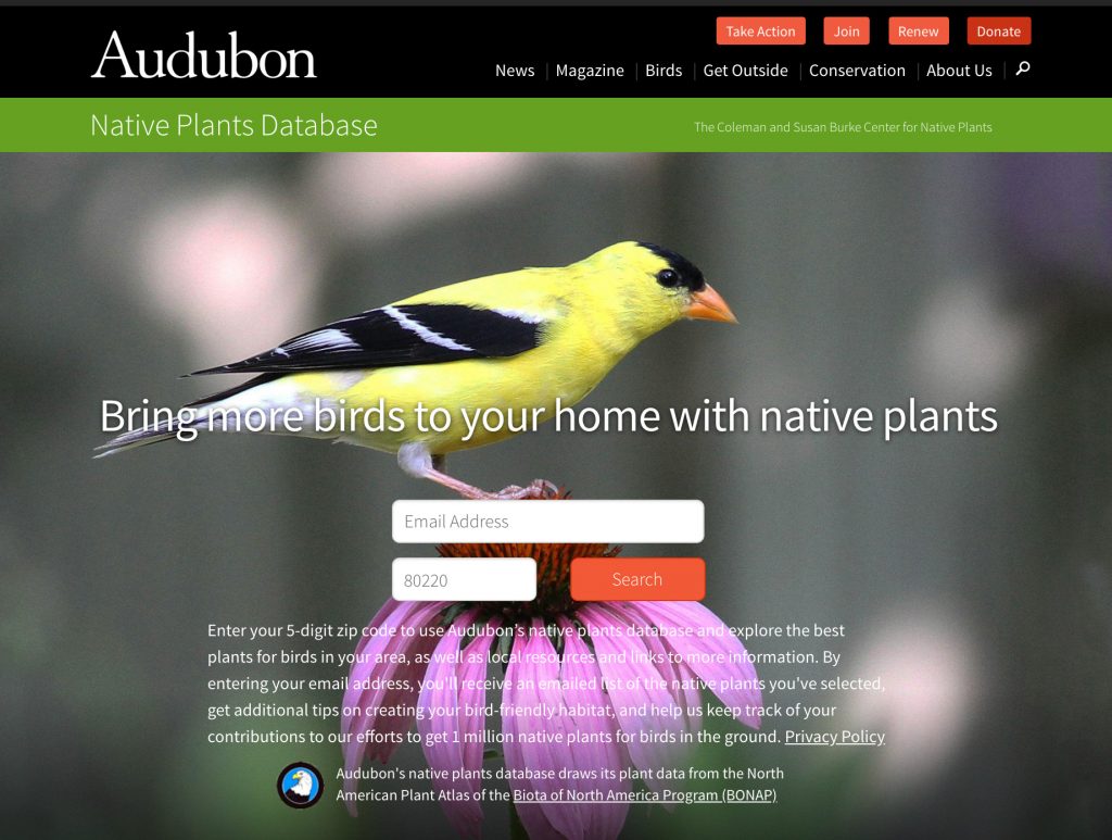 Audubon Native Plants for Birds Database