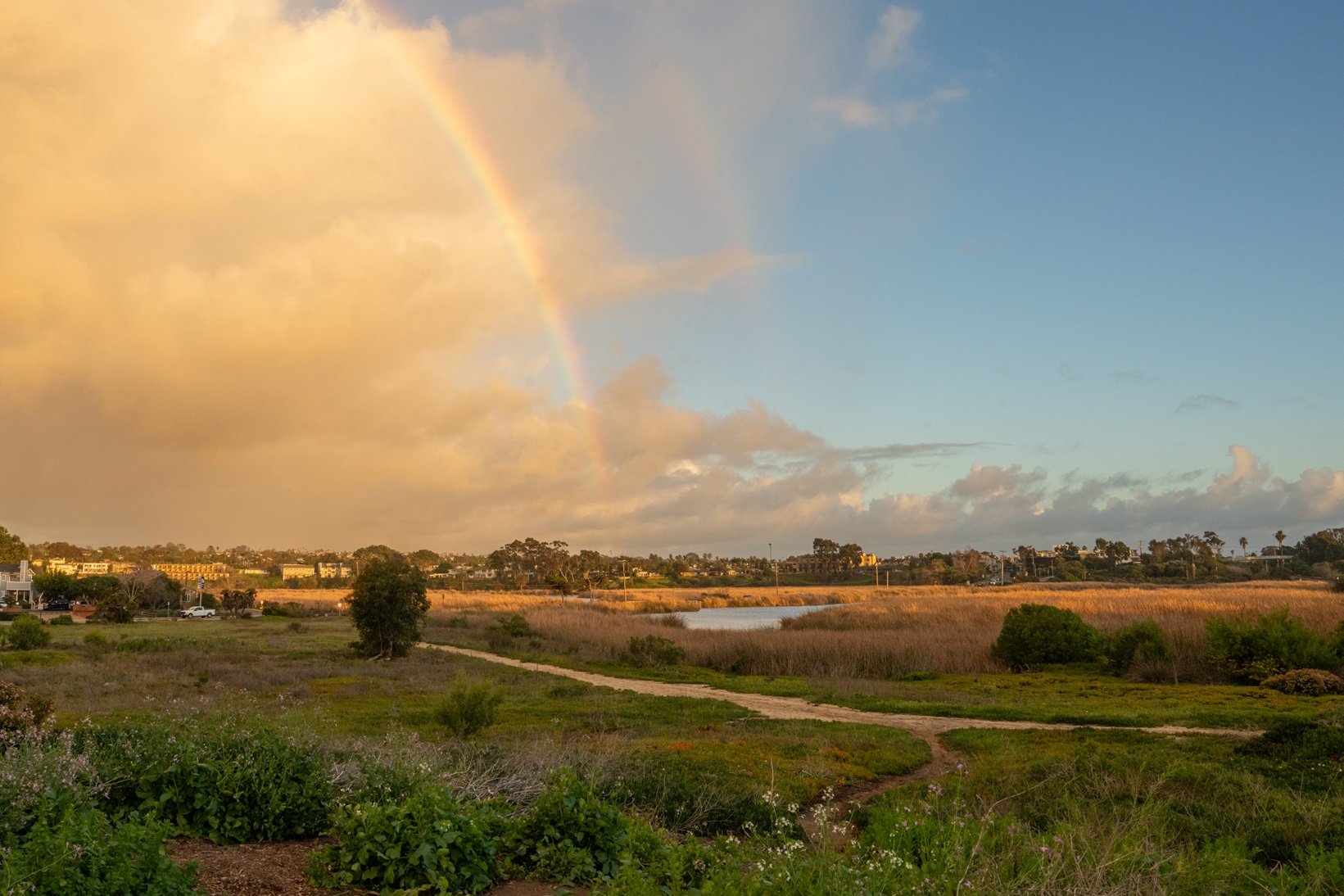 Buena Vista Lagoon in Southern California. There is a rainbow in the sky.