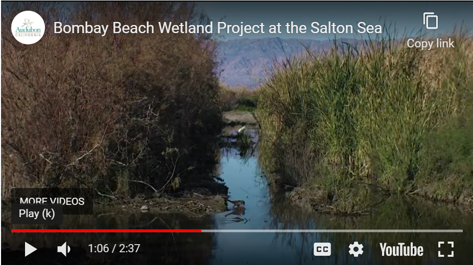 Bombay Beach Video