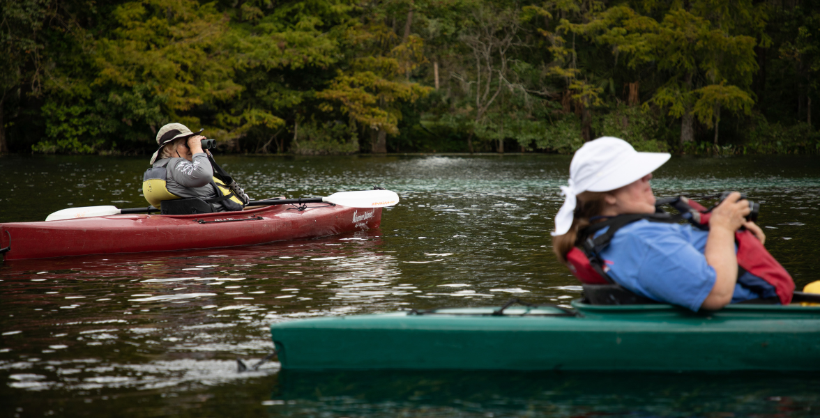 Two people in red and green kayaks floating on the water, using binoculars to look at birds.