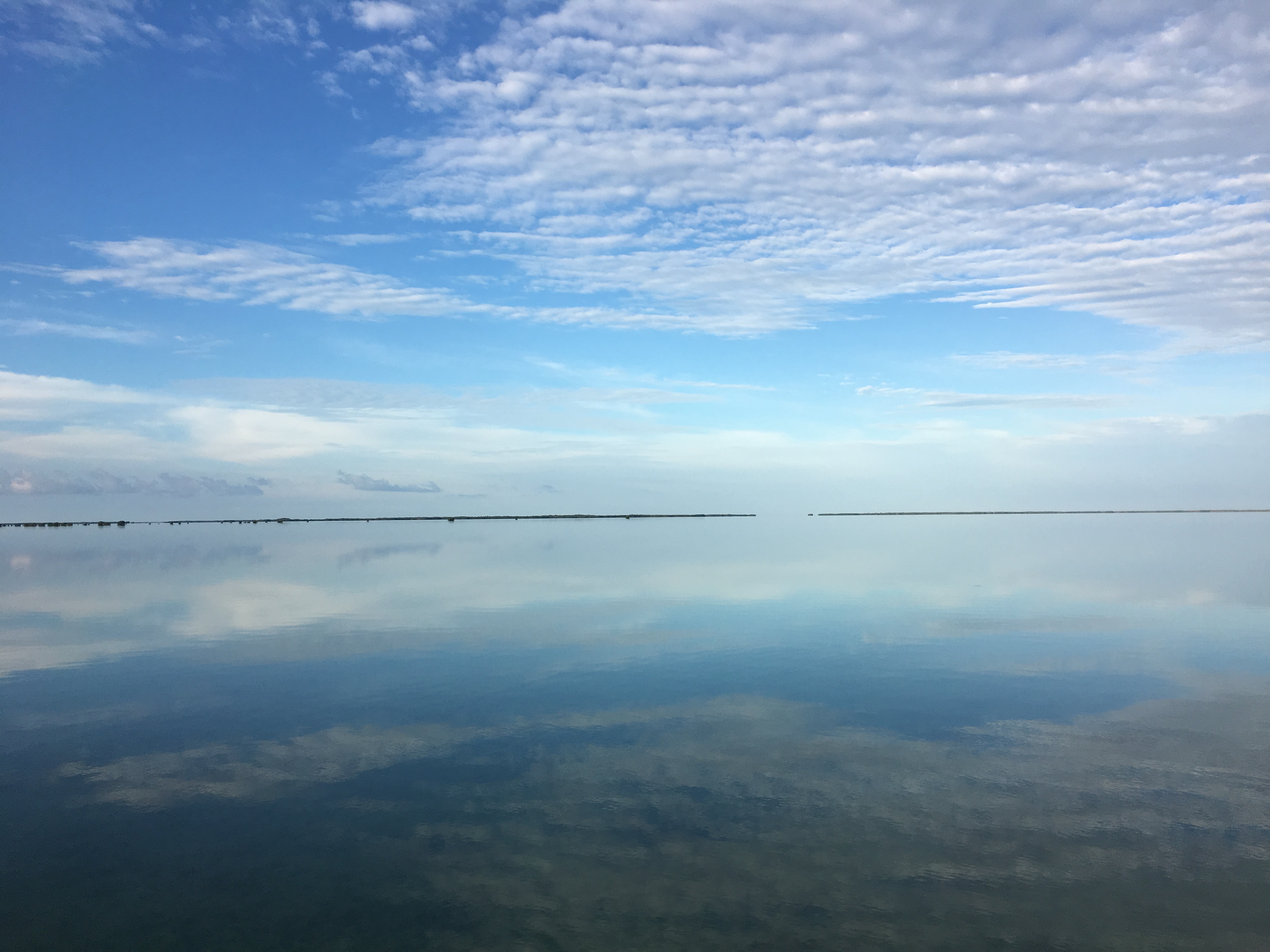 Florida bay, the water reflecting the blue sky and clouds. Photo: Kelly Cox/Audubon Florida.