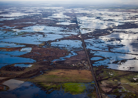 Central Valley Wetlands. Photo: Anders Ericsson. 