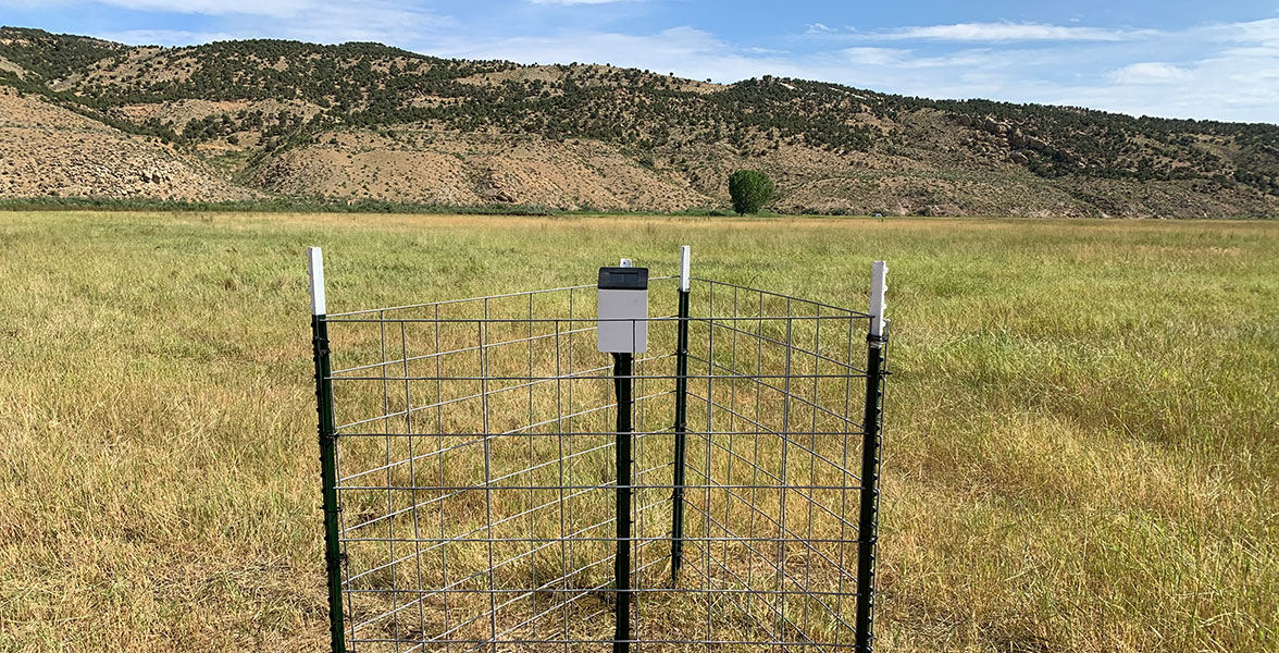 A soil sensor on a post surrounded by cattle fencing in a pasture.