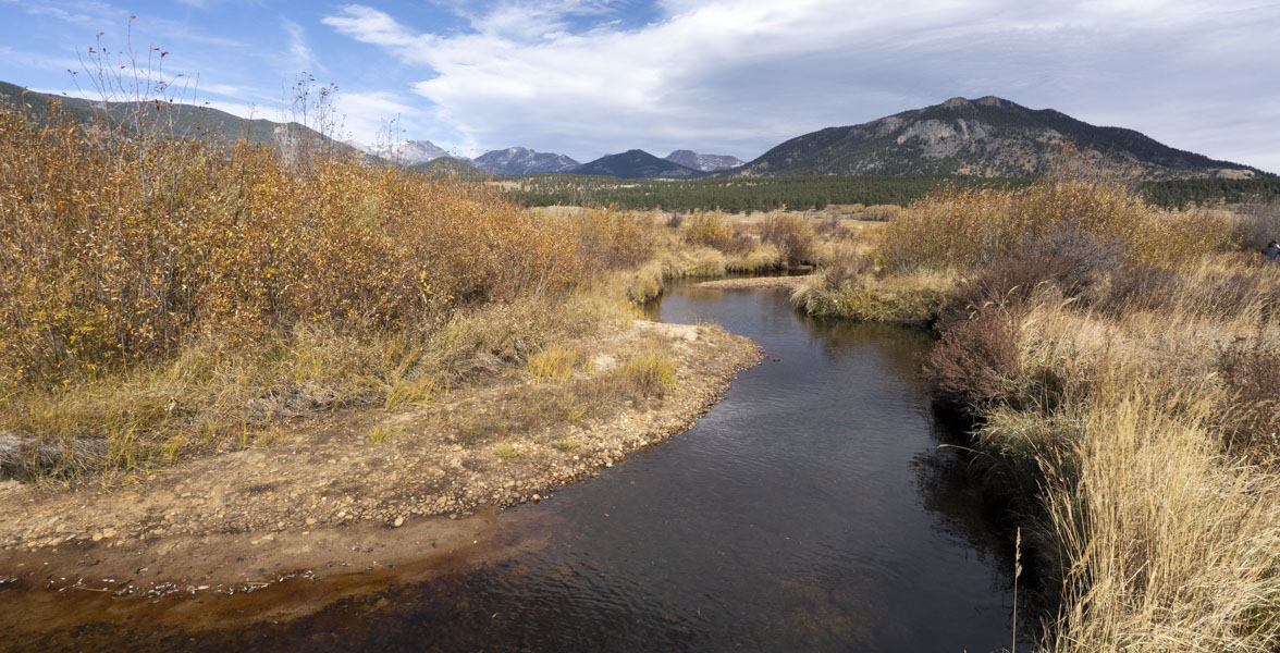 A stream surrounded by vegetation.