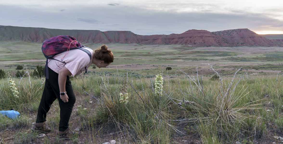 A woman inspects white flowers in a grassland.