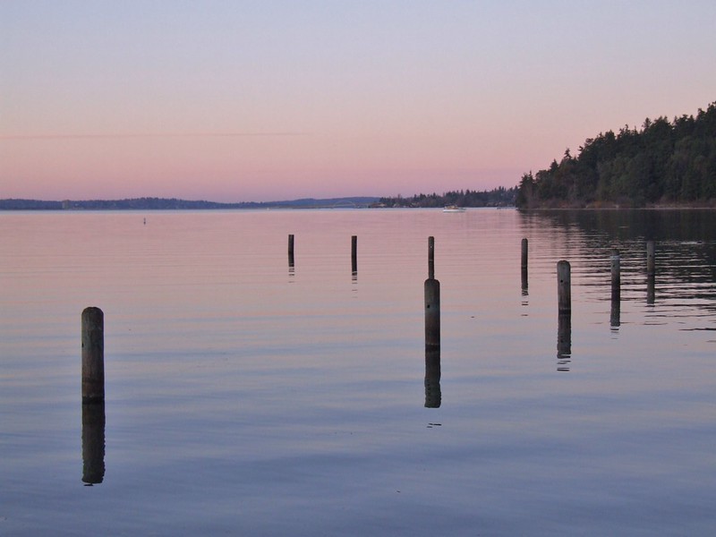 Andrews Bay Pilings photo by Travis