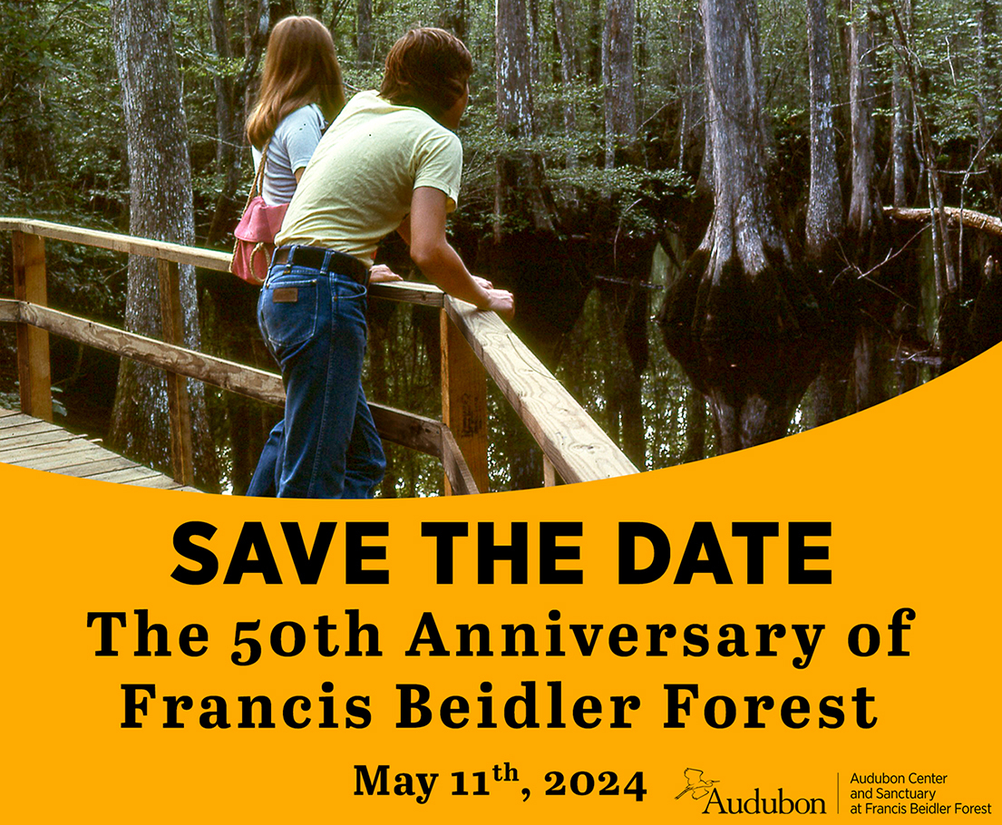 Save the date. The 50th anniversary of Francis Beidler Forest on May 11th, 2024