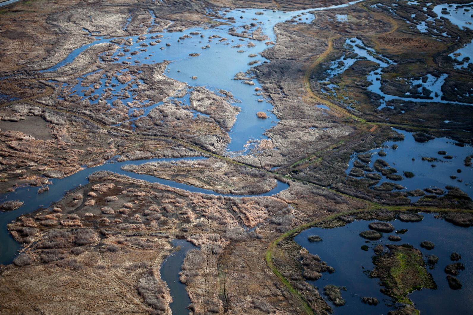 Wetlands