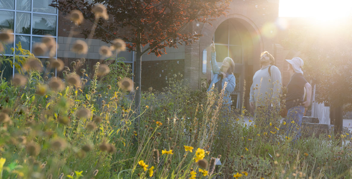 Three adults stand near a pollinator garden.