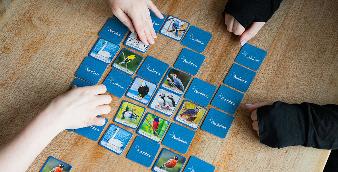 Bird Matching Game.