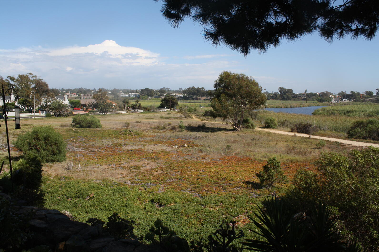 Buena Vista Wetlands Reserve 