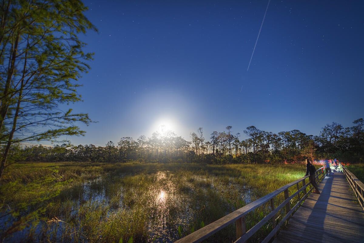 The boardwalk at night with moon rising and people in the distance