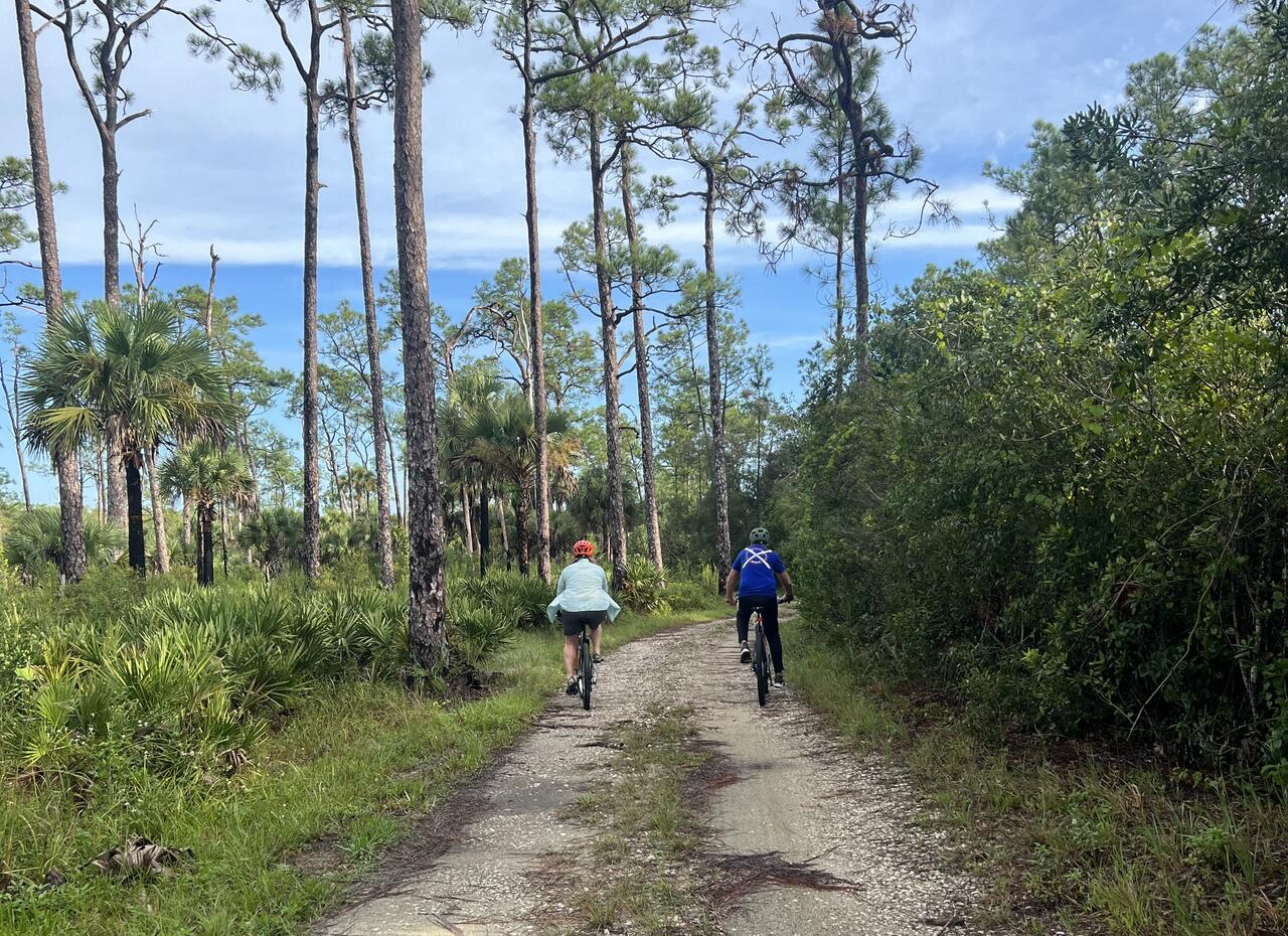Two people bicycling on a dirt path.