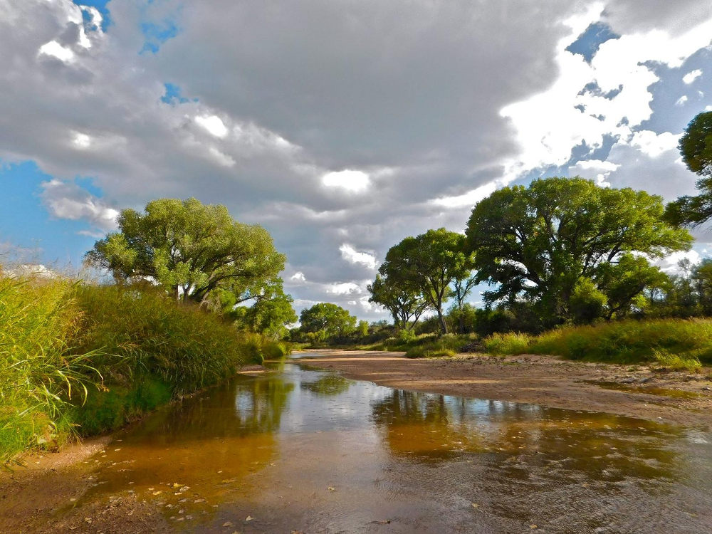 The San Pedro River. Photo: Steve Prager