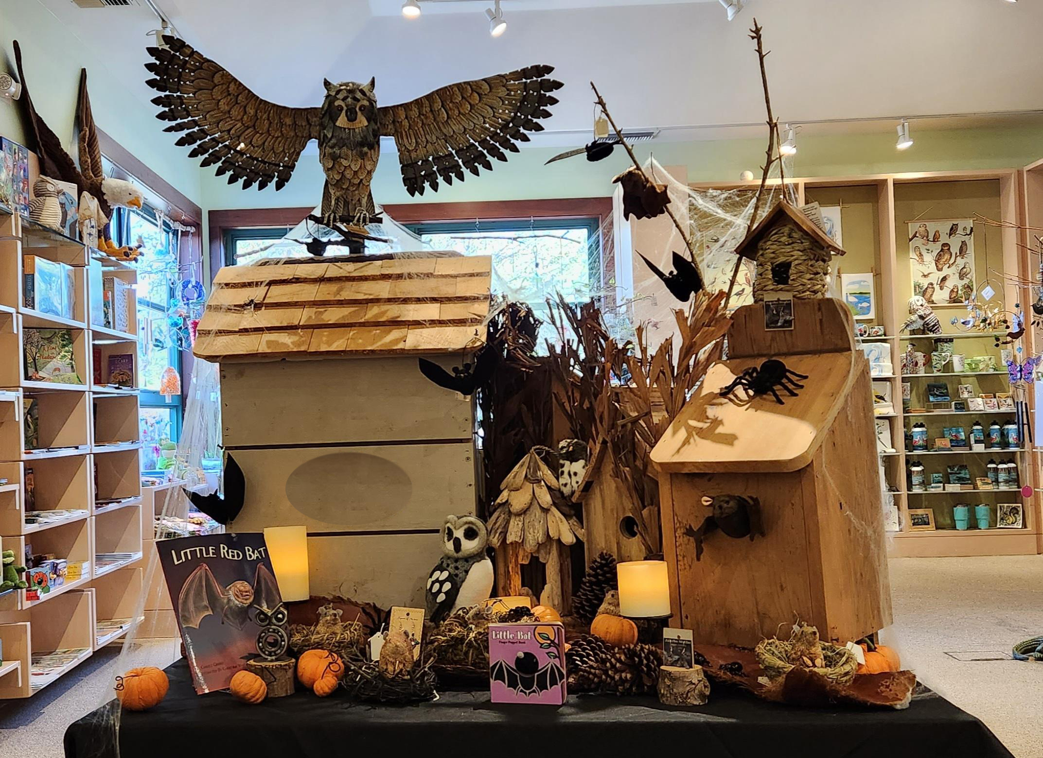 Photo of merchandise in the nature store including an owl, bat house, and decorations.