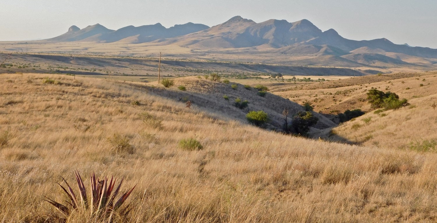 Grassland plains in front of a mountain range in southern Arizona.